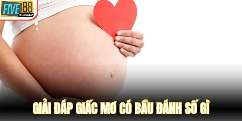 Giải đáp giấc mơ có bầu đánh số gì